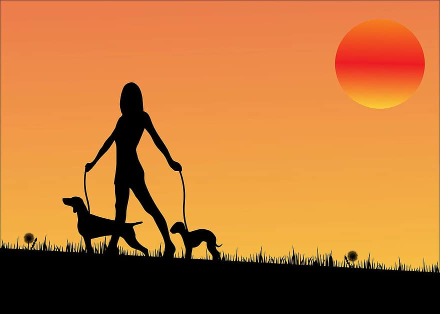 auringonlasku, koira, koirat, kävely, nainen, tyttö, siluetti, Nainen koiran ulkoiluttaminen, musta, oranssi, auringonnousu