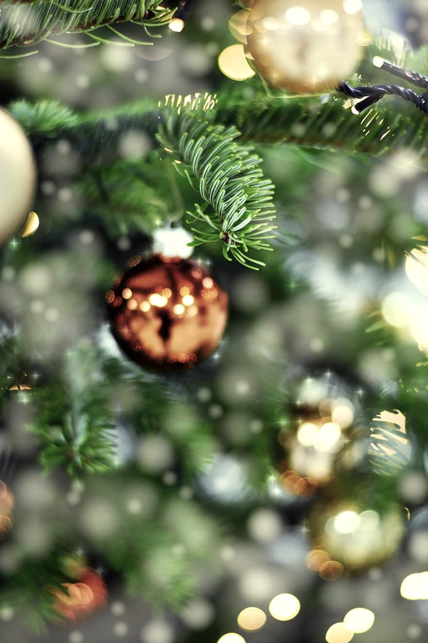 Різдво, дерево, ялиця, орнамент, боке, Різдвяна ялинка, christbaumkugeln, прикраса, новорічні кулі, ялина