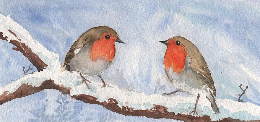 Watercolour, Robin, Birds, Winter