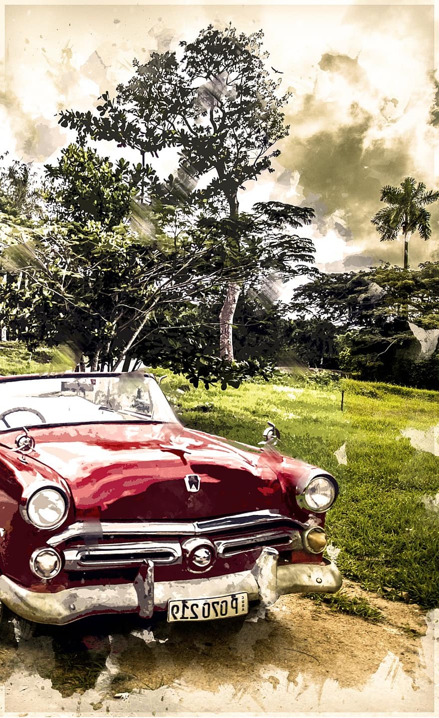 Kuba, oldtimer, automašīnu, transportēšana, tehnika, vēsture, vintage, senais, mežs, ceļot, koki