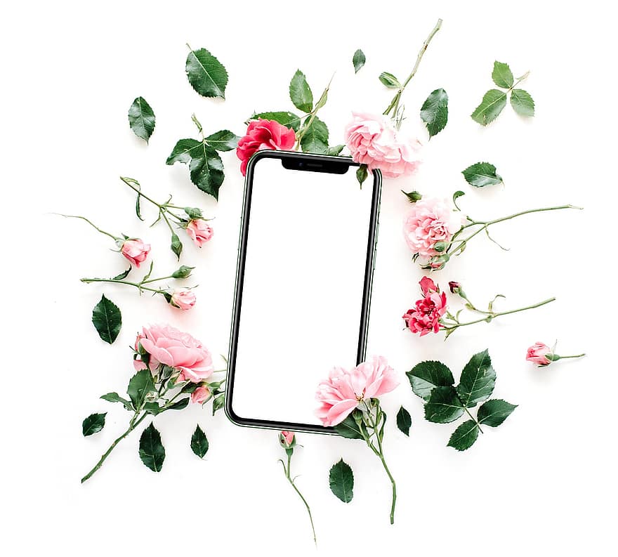 blomster, mobiltelefon, roser, smarttelefon, telefon, isolert, floral