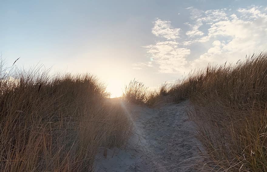 wangerooge, la mer du Nord, dunes de sable, le coucher du soleil, Allemagne, herbe, le sable, paysage, été, lumière du soleil, bleu