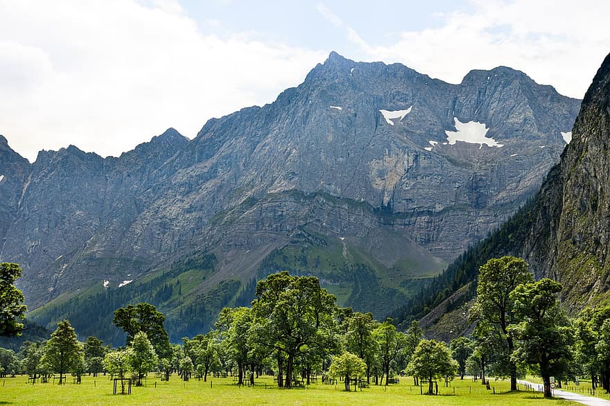 Ahornboden, Karwendel, bergen, landskap, engalm, lönn, träd, natur, sommar, trän, berg