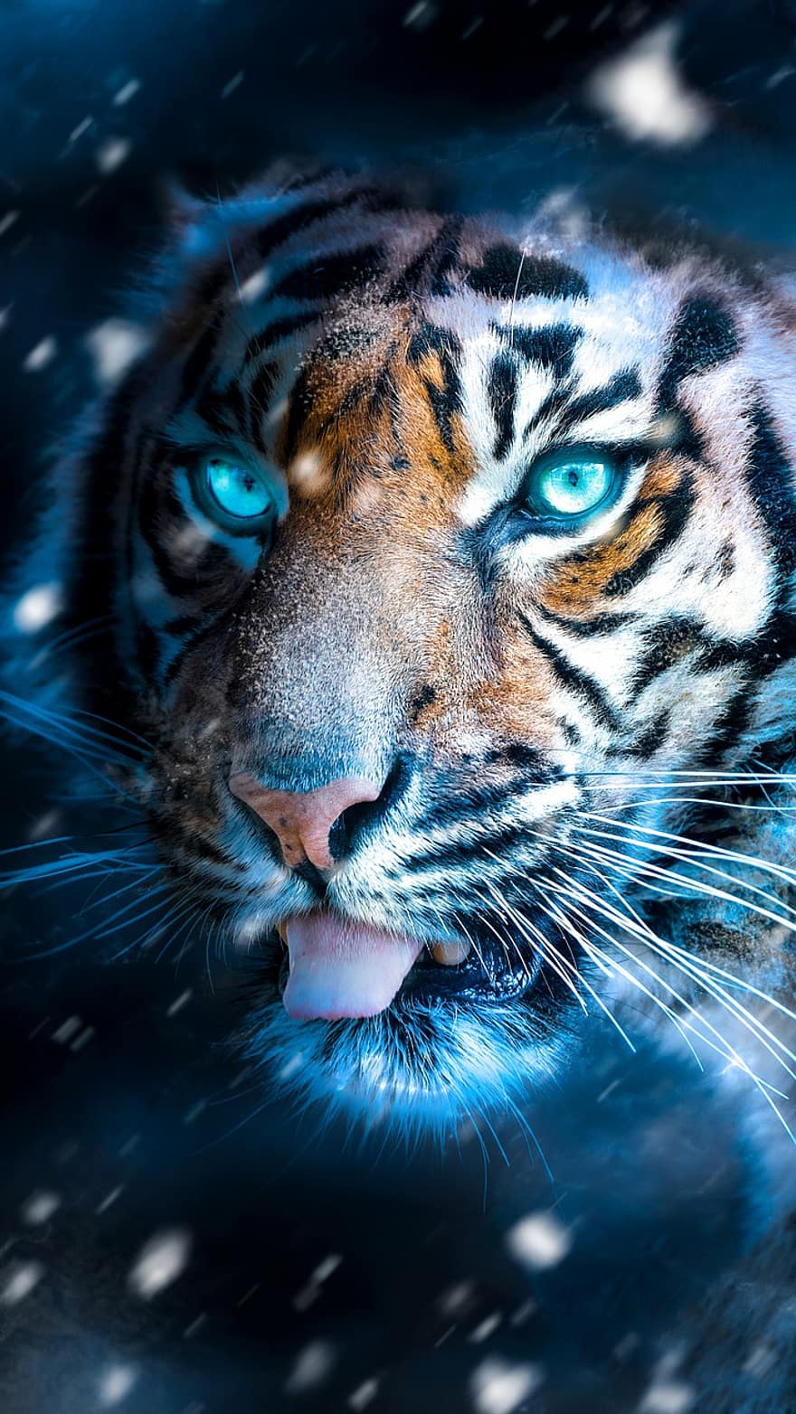tigre, hivern, vent de neu, fred, fosc