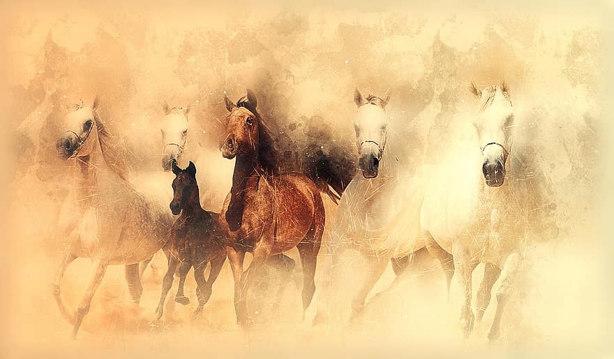 коні, біг, ссавець, природи, тварина, стадо, мальовничий, цифрові маніпуляції, живопис, фотомистецтво, помаранчевий характер