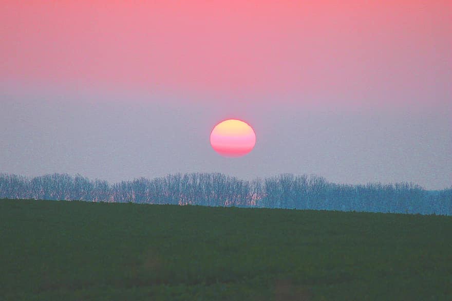 Sunrise, Sun, Trees, Field, View, Sky