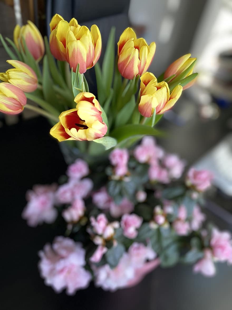 las flores, tulipanes, ramo de flores, plantas, naturaleza, primavera, botánica, floración, flor, pétalos, crecimiento