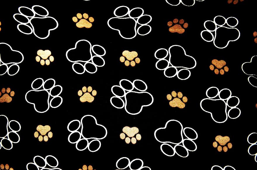 perro, huella, pistas, fondo, mascota, perrito, canino, mamífero, pata, rastro, impresión