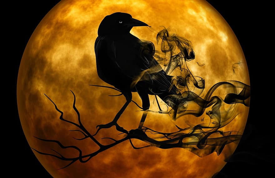 con quạ, đêm, rùng mình, bóng tối, thần bí, u ám, ánh trăng, đáng sợ, tâm trạng, không khí, bí ẩn