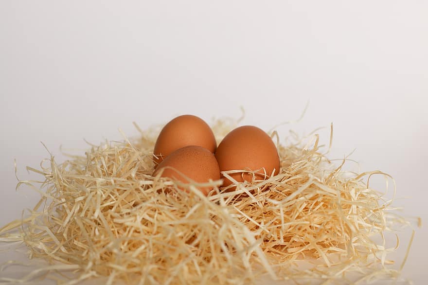 uova, azienda agricola, proteina, salutare, prima colazione, pollo, Pasqua, cibo