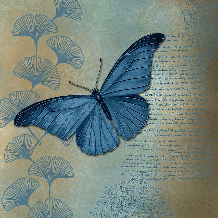 sommerfugl, scrapbog, årgang, flora, insekt, illustration, mønster, multi farvet, baggrunde, gammeldags, blå