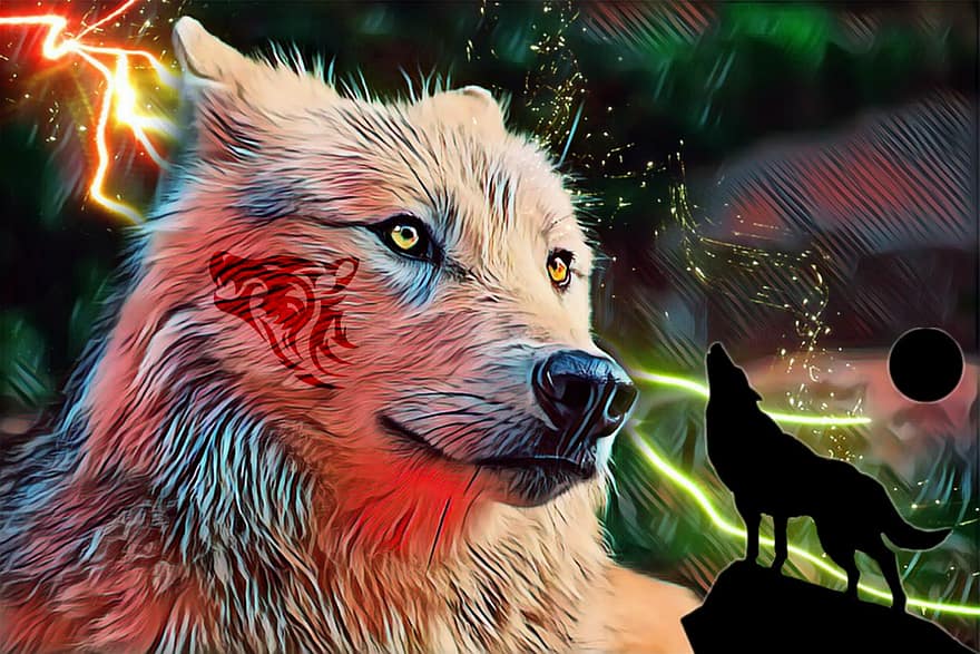 ulv, øje, hyle, En hund, effekt