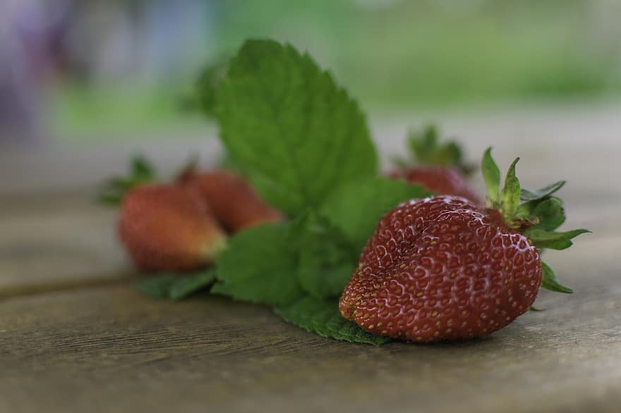 jordgubbe, skörda, trädgård, frukt, röd, hälsosam, vitaminer, näring, ljuv, efterrätt, mogen
