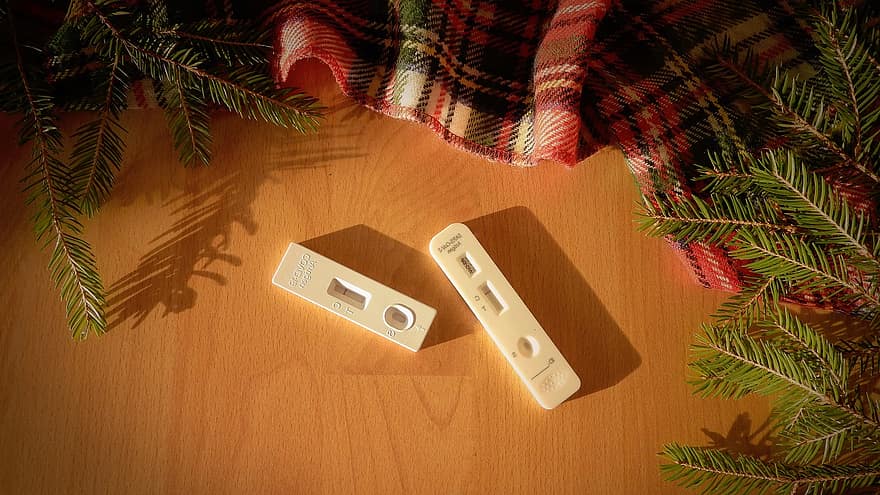 Covid, Test, Antigen, Christmas, Background, Wood, Branches, Needles, Disease, Detection