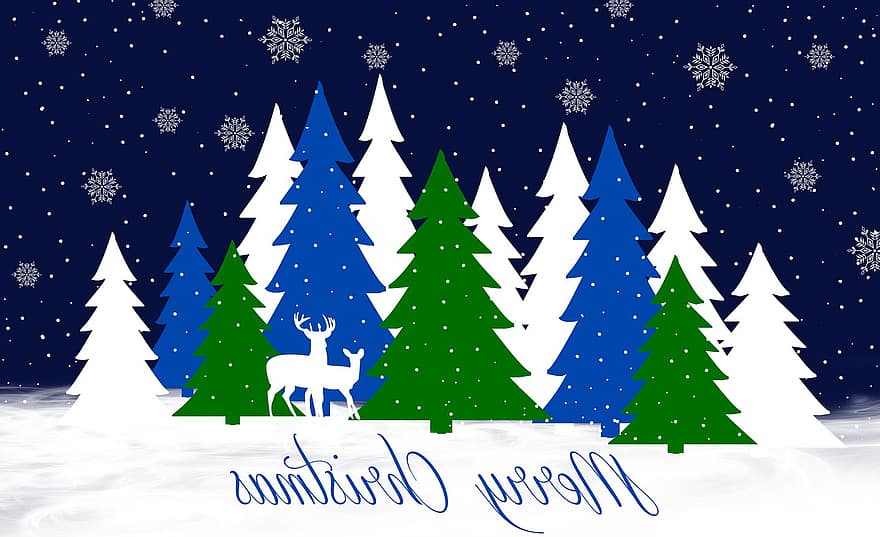 Christmas Card, Christmas Background, Christmas Wallpaper, Christmas Motif, Winter Landscape