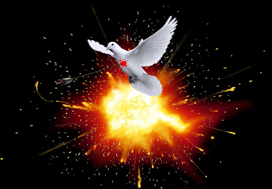 戦争、平和の鳩、対立、暴力、平和の終わり、平和、爆発、死、苦しみ、侵略、血液