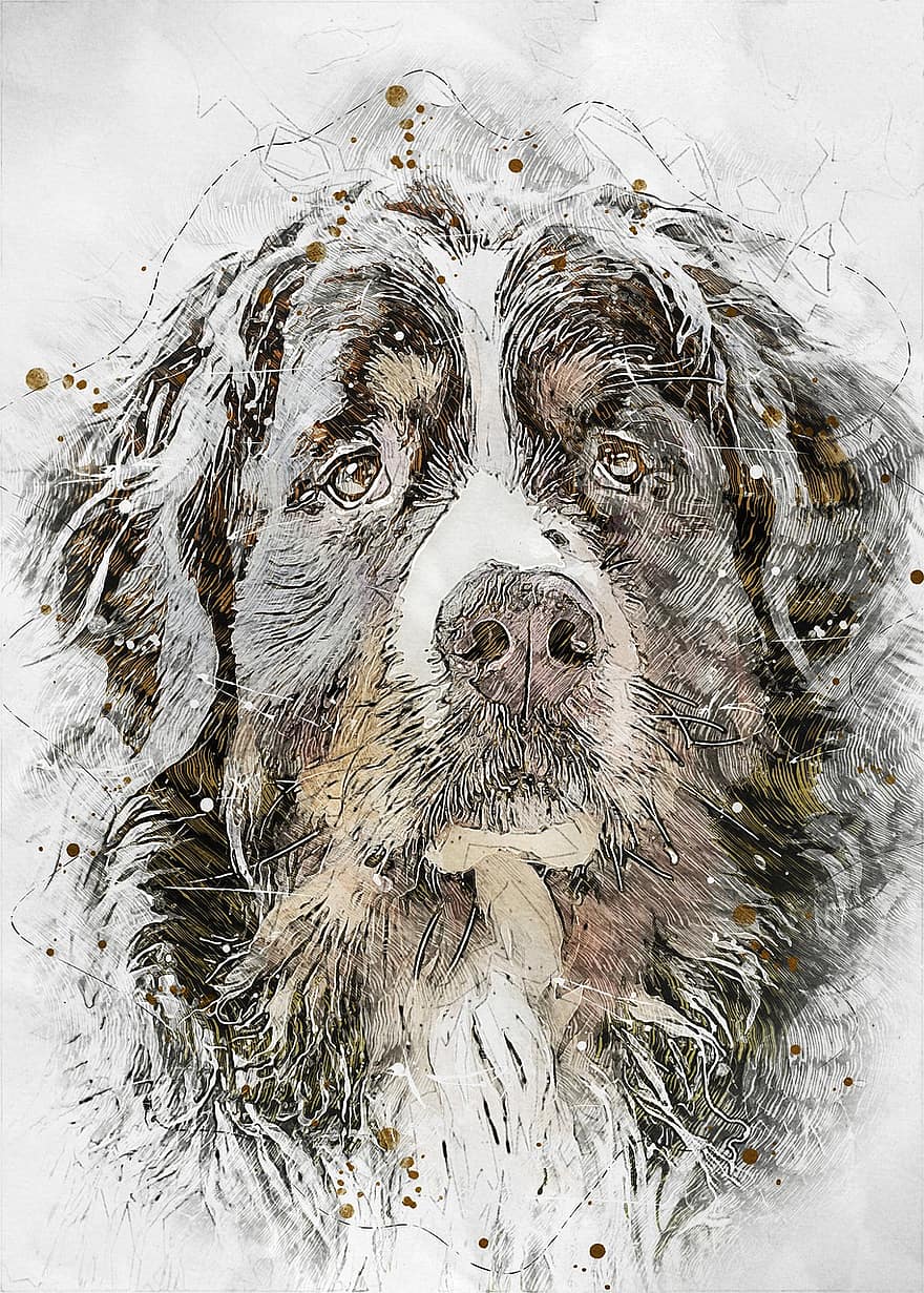 الكلب جبل بيرن ، الكلب ، رسم ، عمل فني ، الكلاب ، صورة ، سلالة نقية ، حيوان اليف ، رسم الكلب