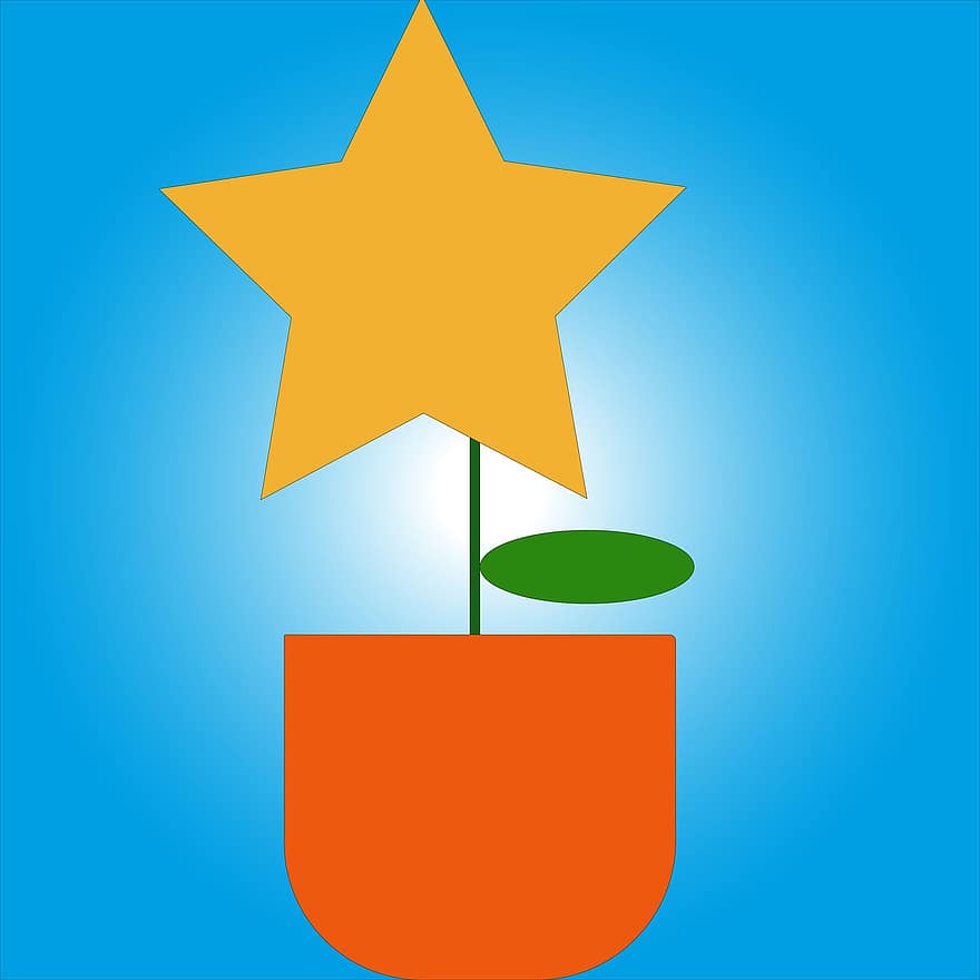 flor, Estrela, maconha, Estrela amarela, plantar, vaso de plantas, vaso de planta, azul