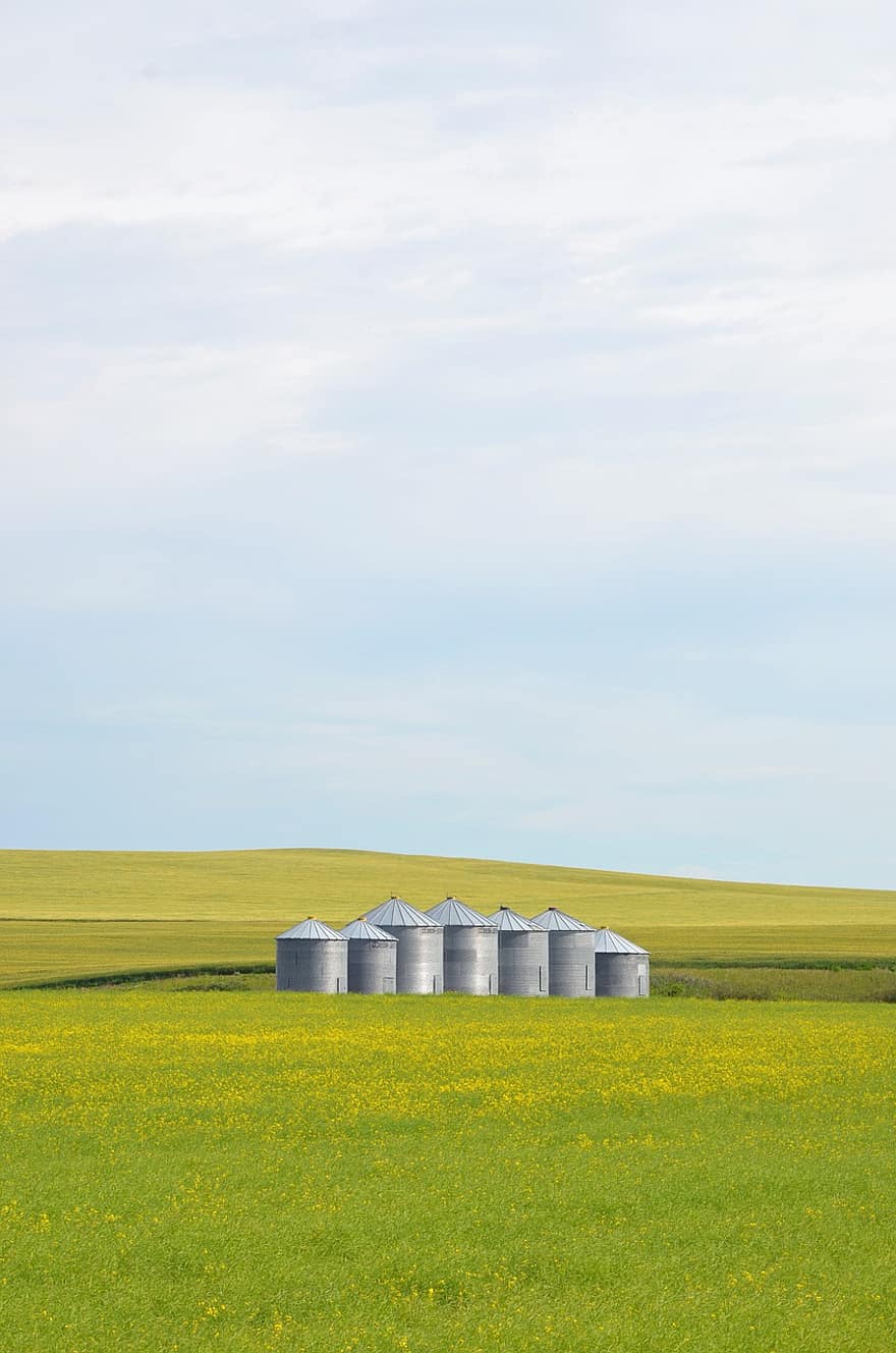 silos à grains, champ, les collines, les terres agricoles, terres cultivées, Prairie, herbe, prairie, collines, la nature