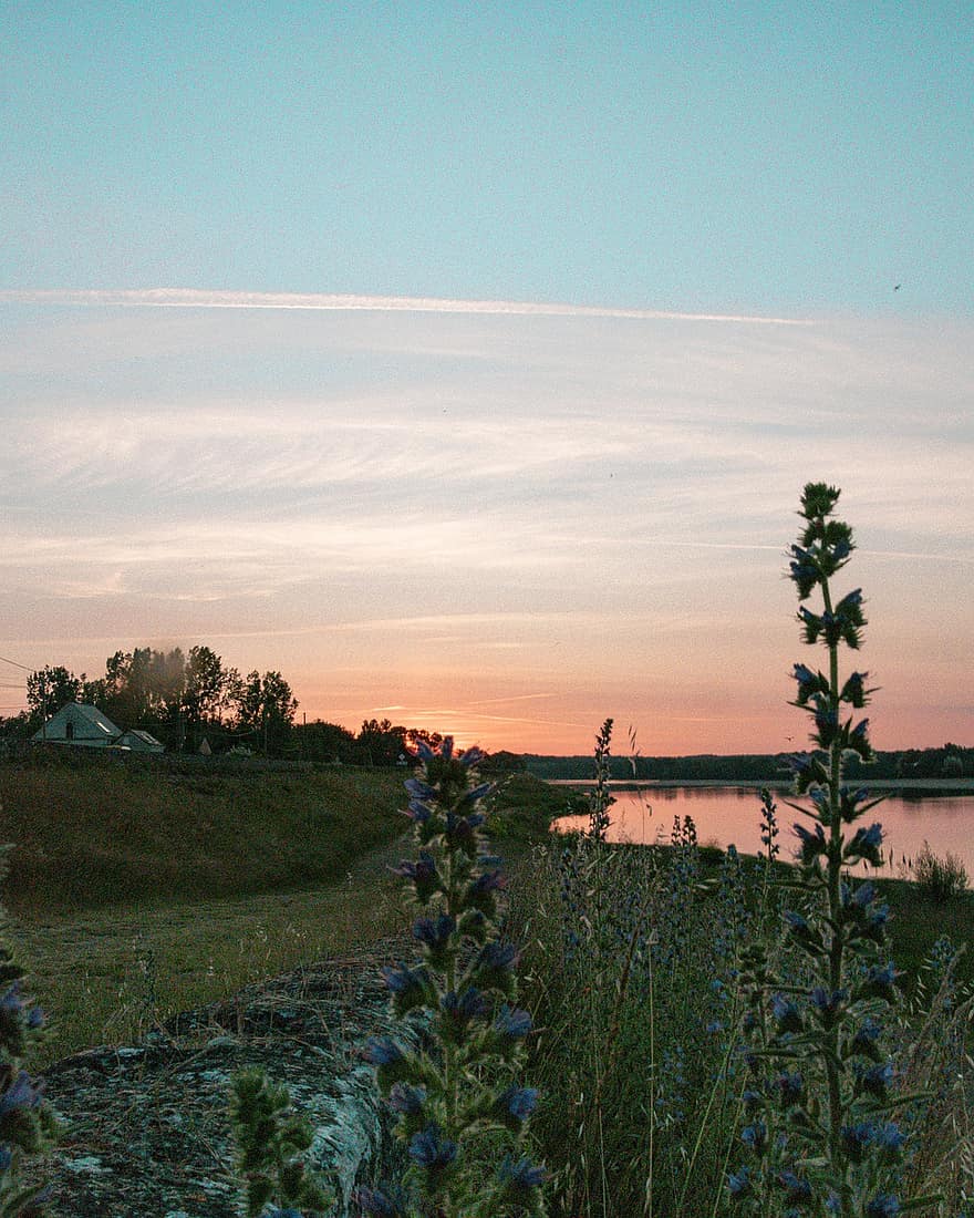 Sonnenuntergang, Loire, Fluss, Wiese, Natur, Frankreich