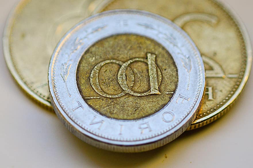 コイン、ハンガリーの硬貨、ハンガリーフォリント、ハンガリーのお金、お金、通貨、ファイナンス、銀行業、閉じる、富、金属