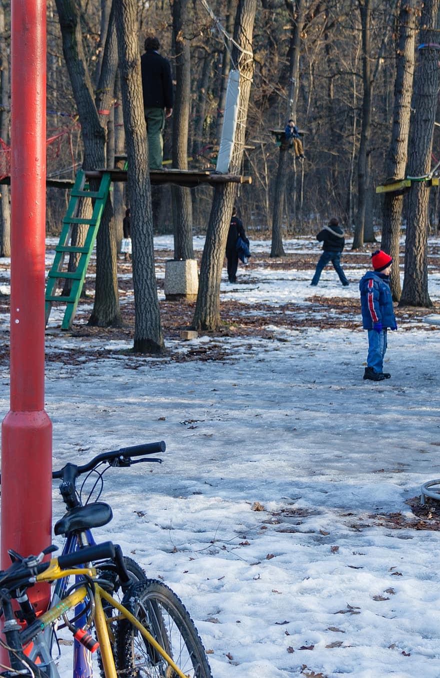 눈, 공원, 어린이, 운동장, 겨울, 놀이, 연주하다, 겨울 의류, 자전거, 사람들, 나무