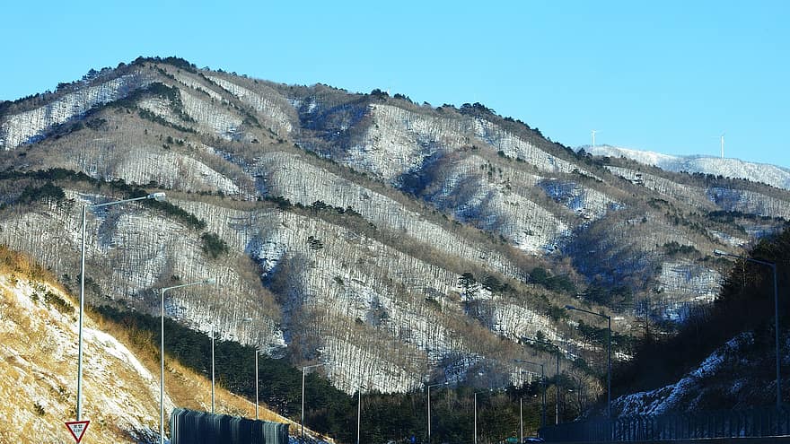Gangneung, daegwallyeong, bjerg, Republikken Korea, sne, natur
