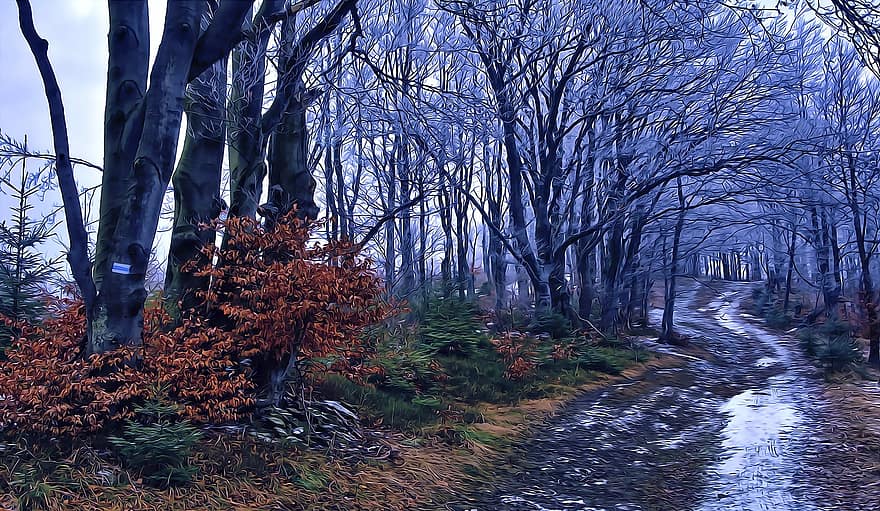 ліс, буки, шлях, зима, сніг, краєвид, дерево, листя, сезон, осінь, природи