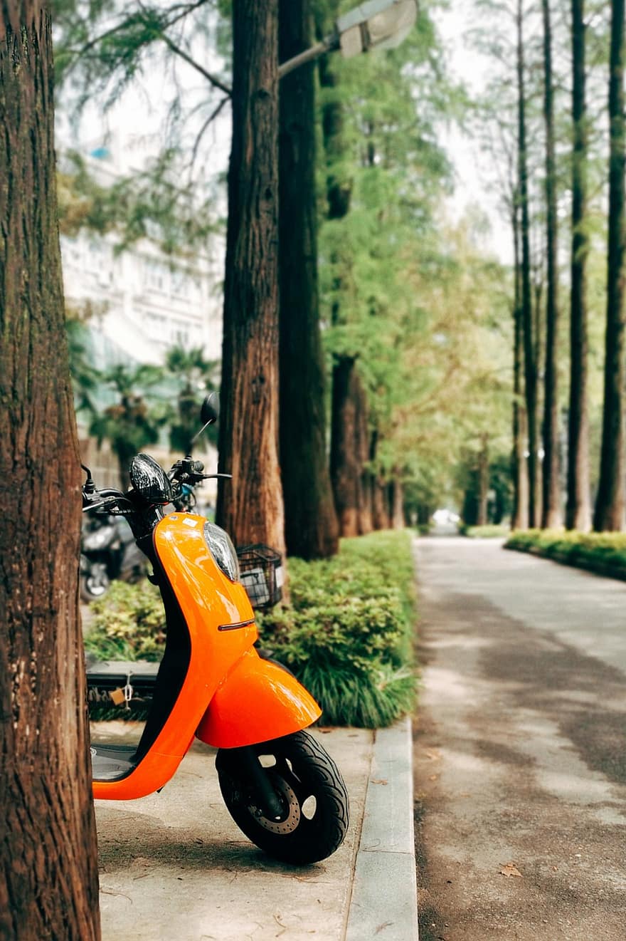 parc, scooter, des arbres, scooter électrique, vélo électrique, route, feuillage