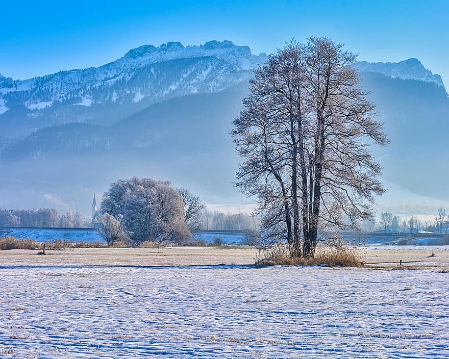 zimowy, jezioro, Niemcy, krajobraz, śnieg, drzewa, góry, Natura, drzewo, Góra, las