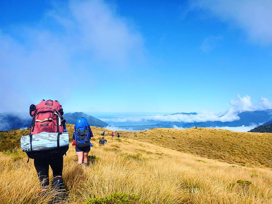 पहाड़ों, लंबी पैदल यात्रा, निशान, लोग, न्यूजीलैंड, दक्षिणी द्वीप, Fiordland National Park, टुस्सोक, अल्पाइन, ट्रम्पिंग, ट्रैक से परे