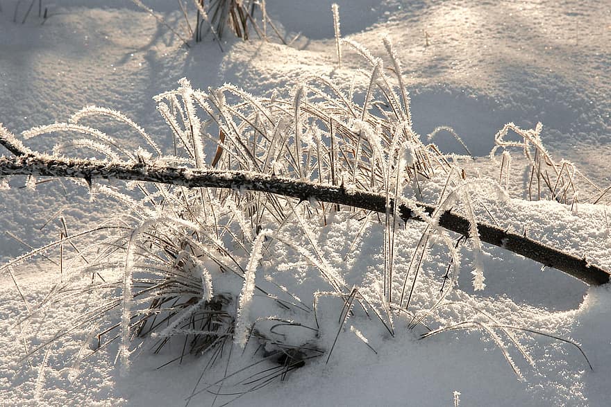 hó, fű, fagy, fagyos, dér, zúzmara, havas, télies, téli, természet, hideg