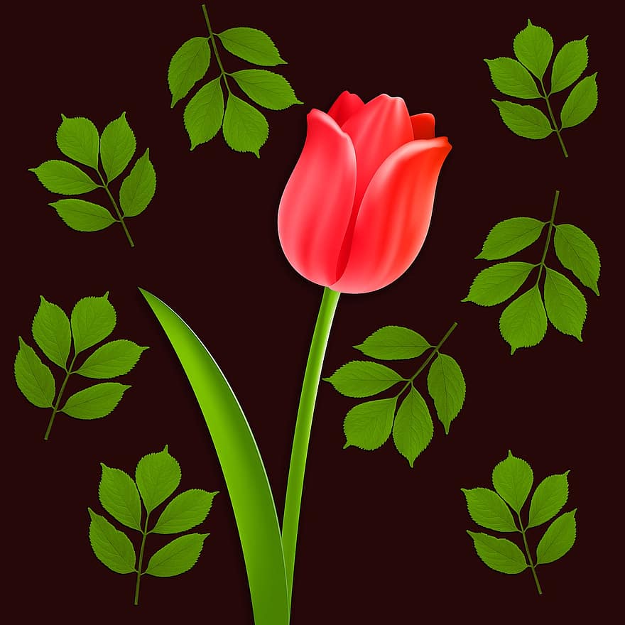 những bông hoa, hoa tulip, bông hoa, lý lịch, lá, thiết kế, lãng mạn, cánh hoa