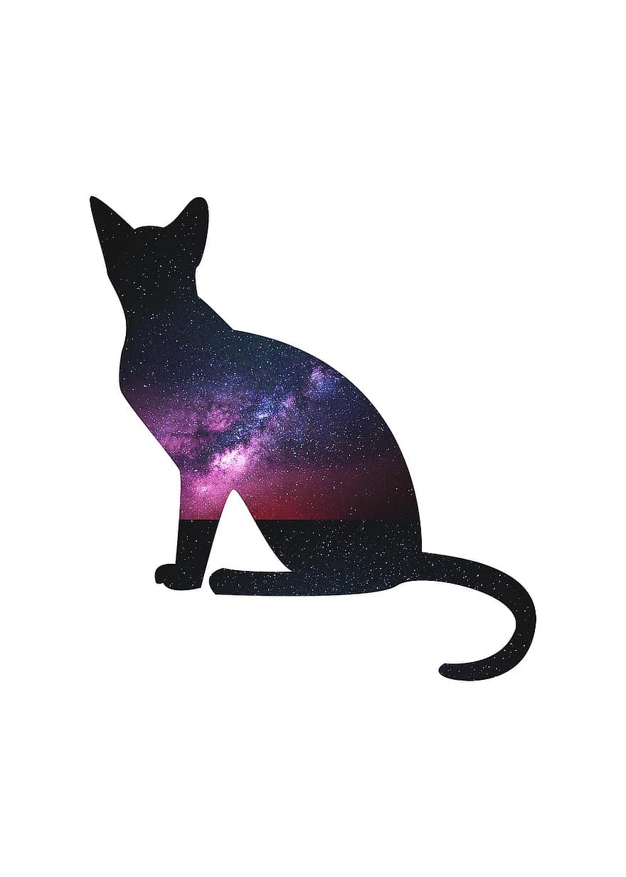 кошка, космическое пространство, галактика, пространство, звезда