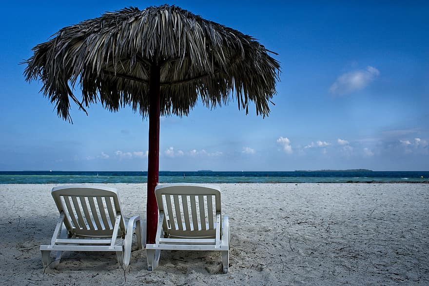 plajă, nisip, mare, scaune, tropical, relaxa, palmier, vară
