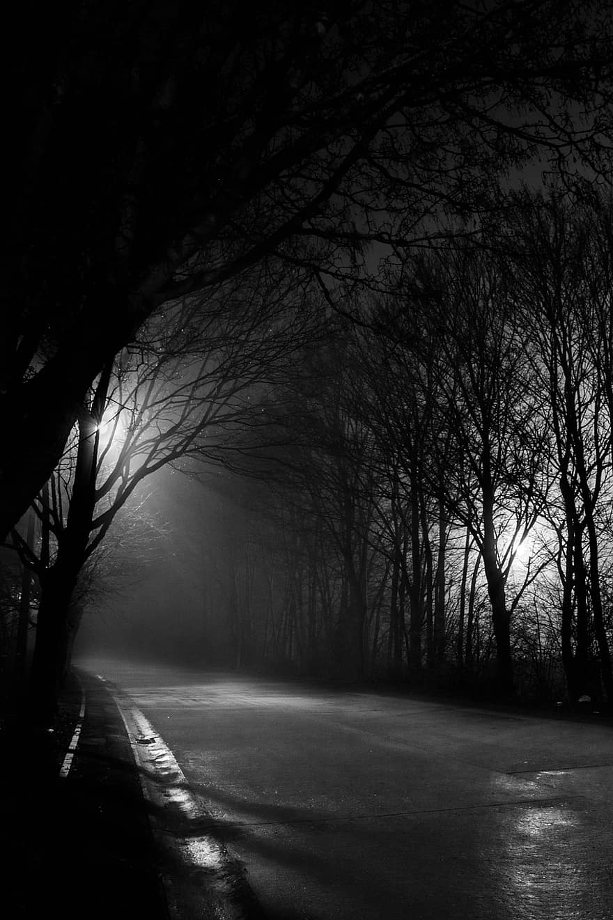 út, országút, fák, köd, éjszaka, város, fény, városi, utca, szállítás