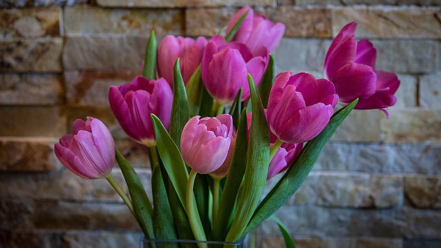 las flores, tulipanes