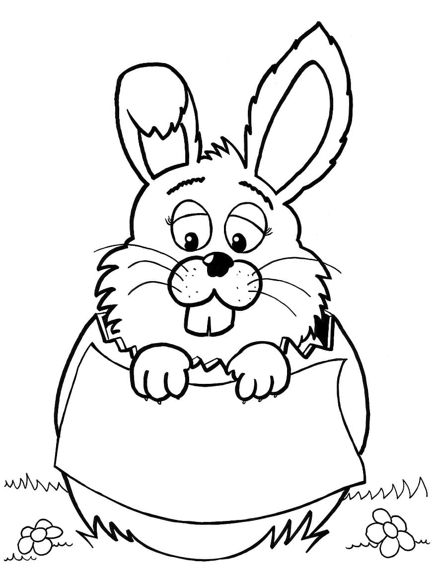 Rabbit, Bunny, Easter, Easter Bunny, Chocolate Egg