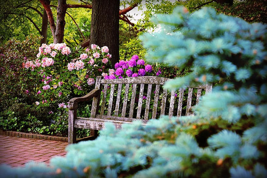 vườn, những bông hoa, mùa xuân, hoa, Thiên nhiên, cây, vườn thực vật, bông hoa, mùa hè, Băng ghế, gỗ