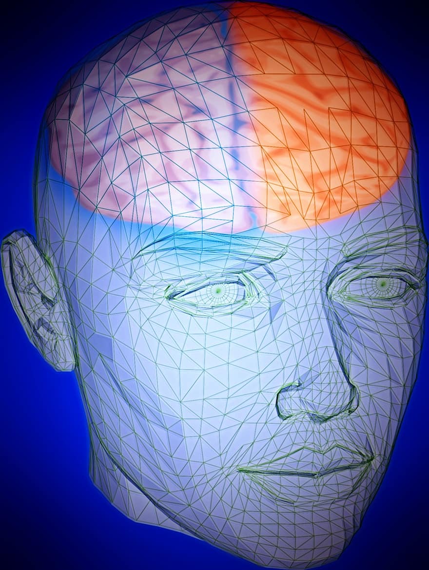 głowa, mózg, człowiek, funkcjonować, medyczny, Twarz, dochodzenie, okulary, anatomia, myśleć, radiologia