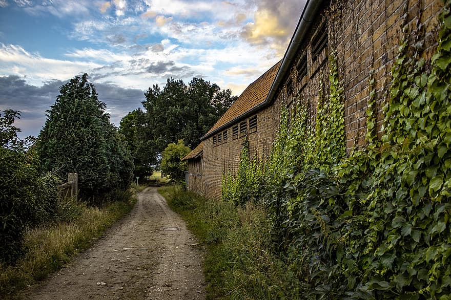 стежка, будівлі, стіна, дерева, листя, село, історично, Німеччина, нижня саксонія