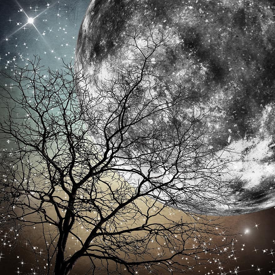 måne, træ, stjerner, nat, natur, fantasi, landskab, mystisk, himmel, måneskin, humør