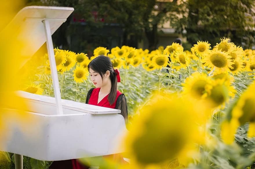 donna asiatica, girasoli, pianoforte, Asia, parco, giardino, natura