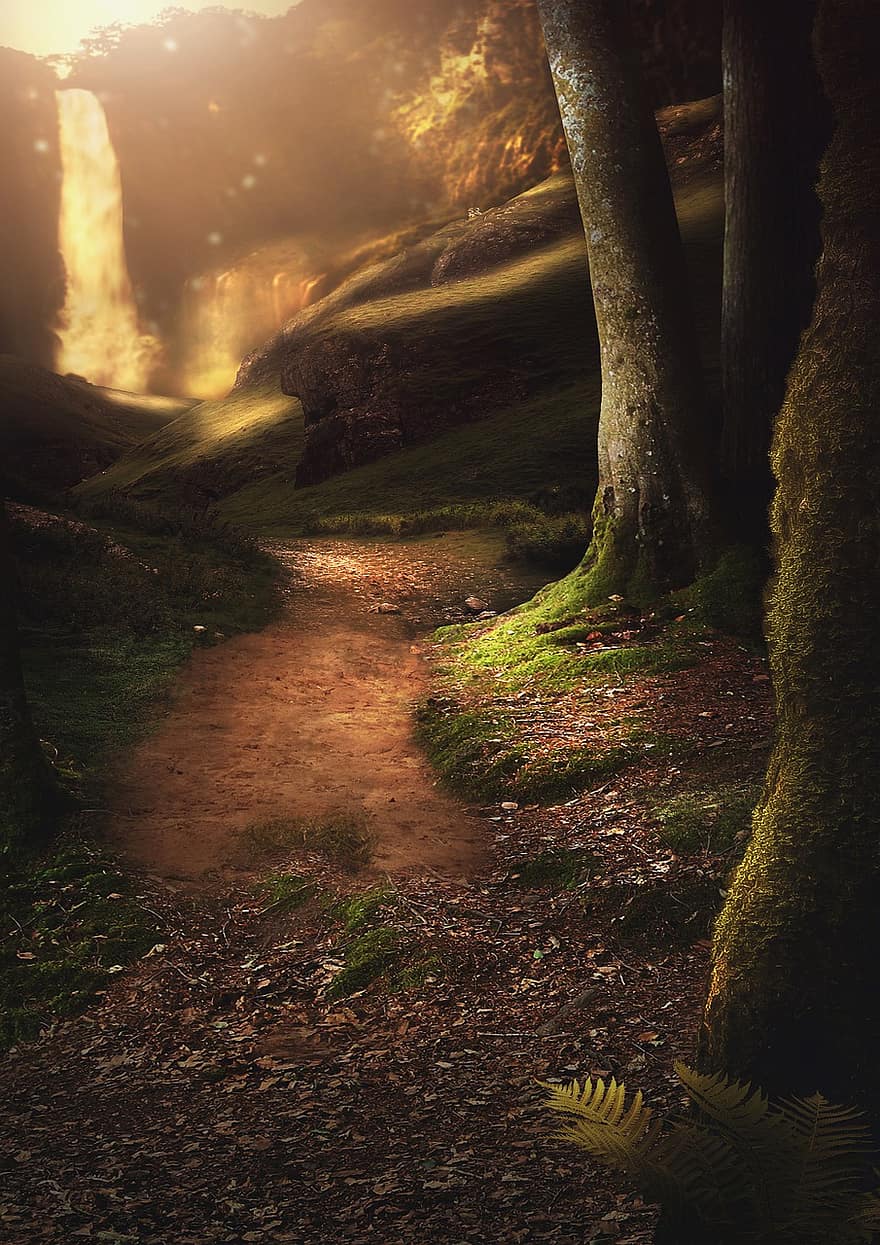 Forest, Trail, Waterfall, Fantasy, Path, Trees, Woods, Falls, Moss, Nature, Light