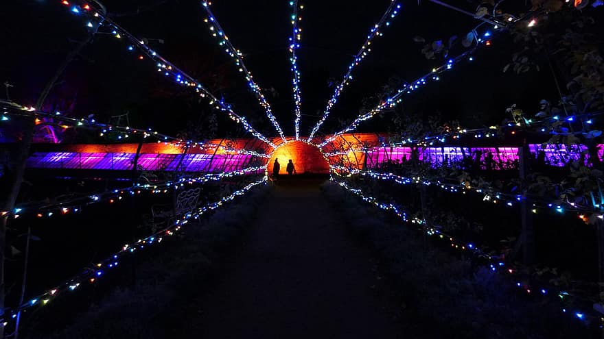Christmas, Lights, Light Tunnel, Night, Christmas Lights, Silhouette, Decoration