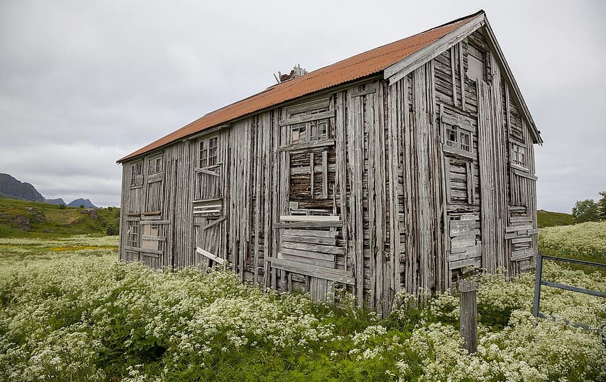 casa de madera, abandonado, rural, yarda, las flores, casa desierta, arruinado, roto, antiguo, campo