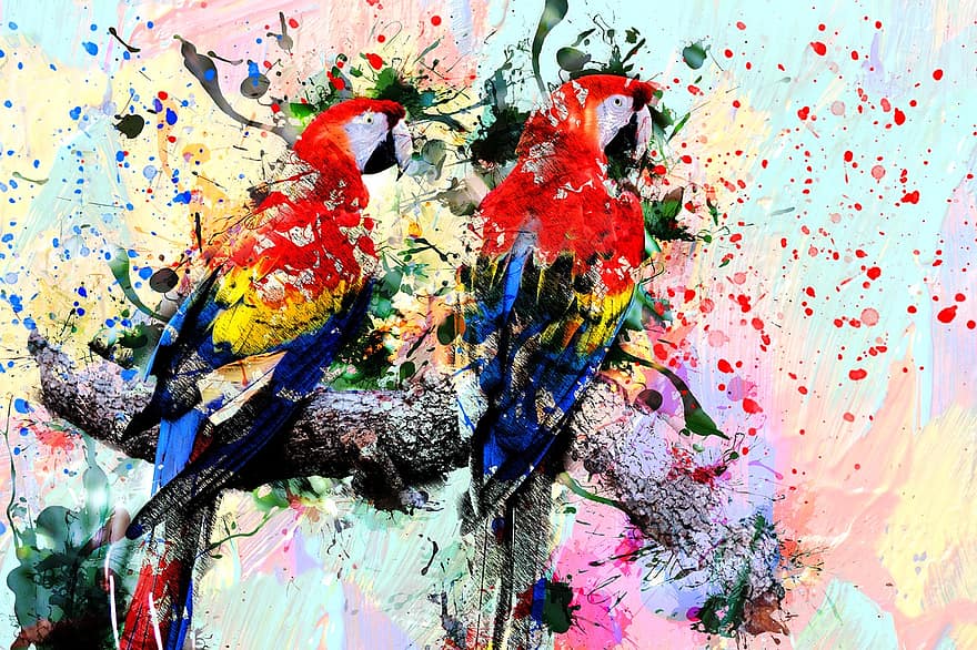 pasăre, papagal, animal, artă, abstract, acuarelă, epocă, natură, tricou, artistic, proiecta