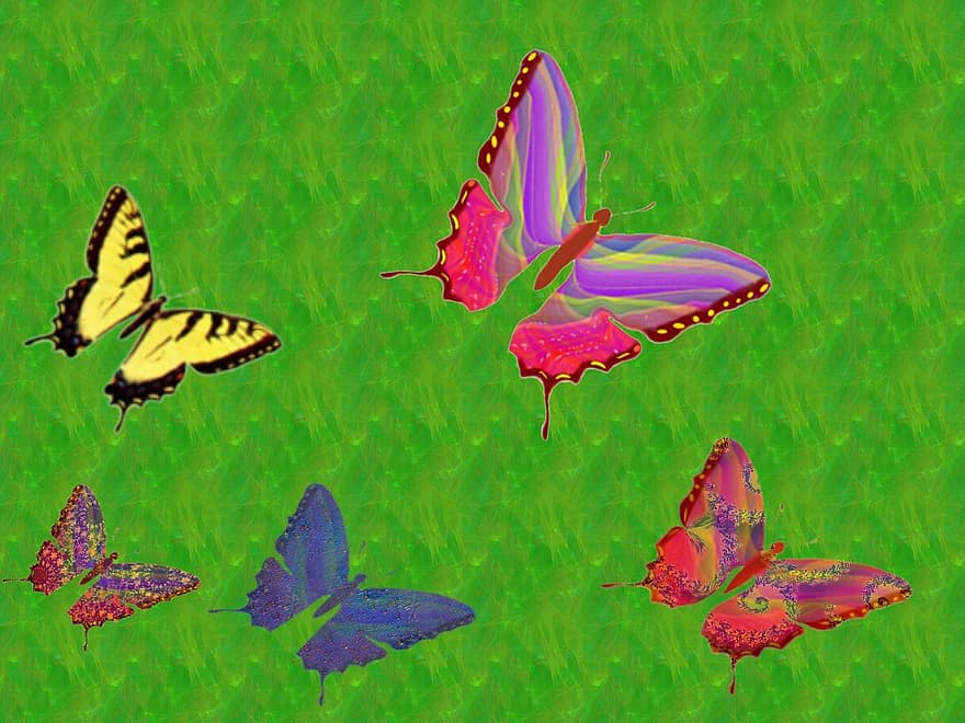 sommerfugler, grønn bakgrunn, flying, insekter, natur, gruppe, sett, fem, rosa, fiolett, gul