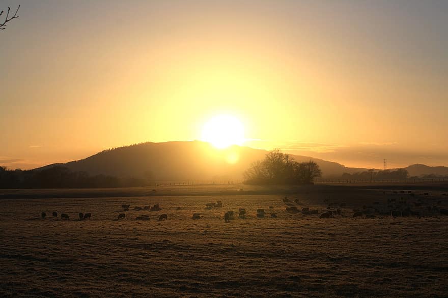 zonsopkomst, platteland, veld-, dageraad, landelijk, prachtig uitzicht, heuvel, landschap, shropshire, zonsondergang, landelijke scène