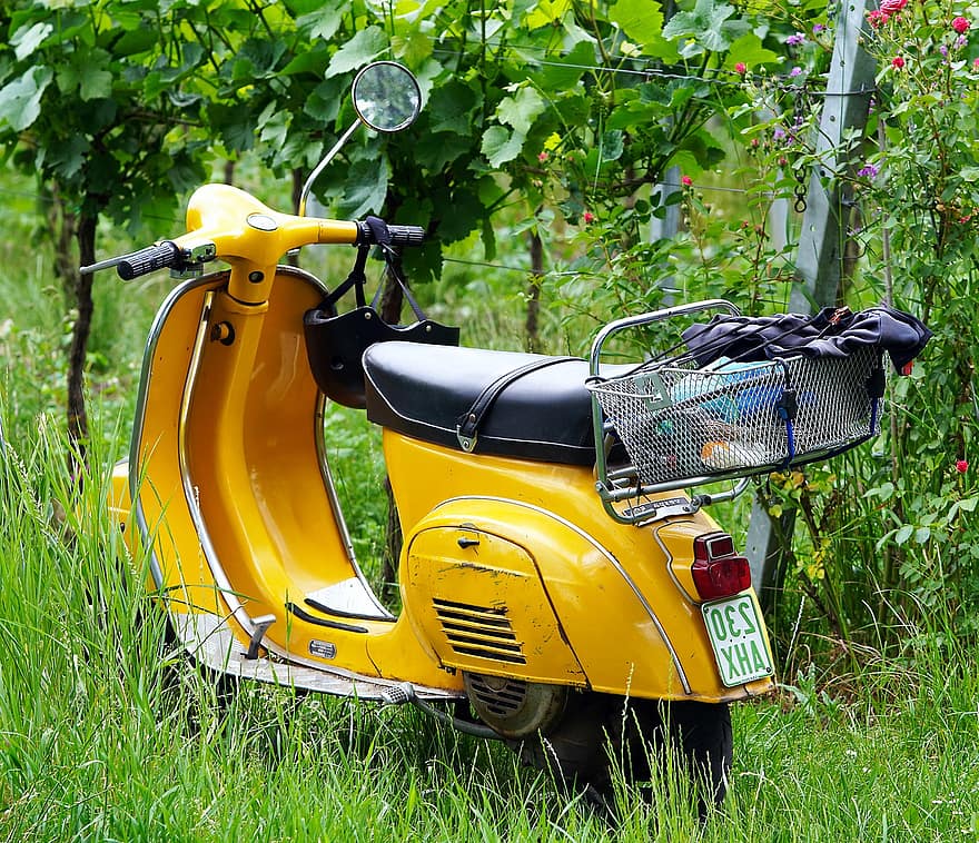 скутер, виноградник, Вінтажний скутер, мотоцикл, транспортування, літо, трави, зелений колір, моторолер, вид транспорту, спосіб життя